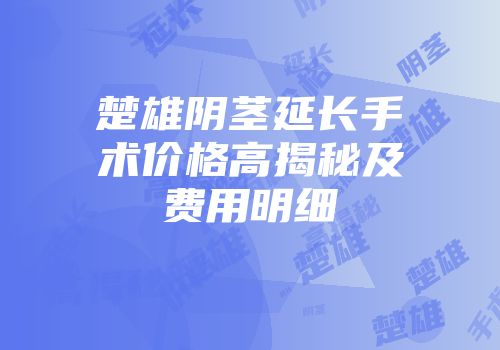楚雄阴茎延长手术价格高揭秘及费用明细