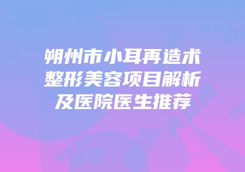 朔州市小耳再造术整形美容项目解析及医院医生推荐