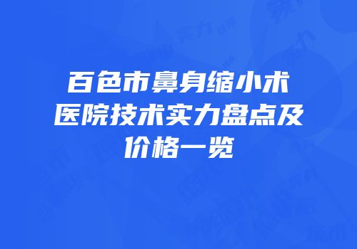 百色市鼻身缩小术医院技术实力盘点及价格一览