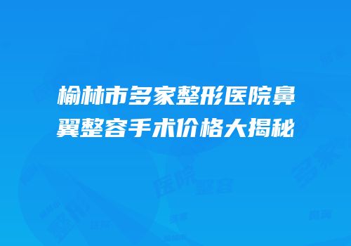 榆林市多家整形医院鼻翼整容手术价格大揭秘