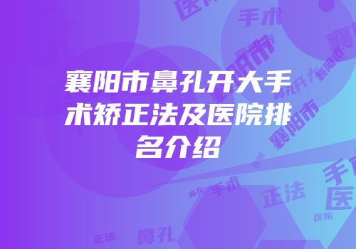 襄阳市鼻孔开大手术矫正法及医院排名介绍