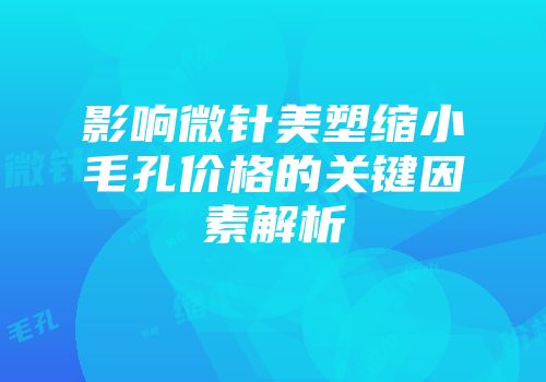 影响微针美塑缩小毛孔价格的关键因素解析