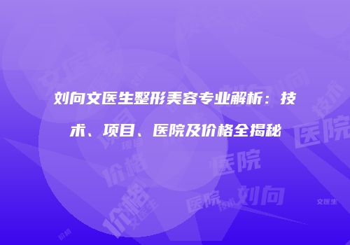 刘向文医生整形美容专业解析：技术、项目、医院及价格全揭秘