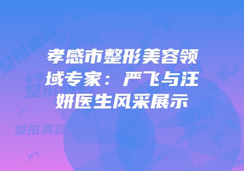 孝感市整形美容领域专家：严飞与汪妍医生风采展示