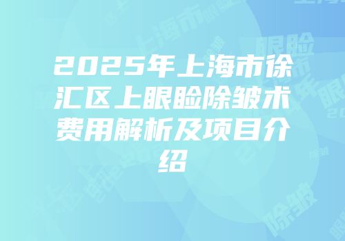 2025年上海市徐汇区上眼睑除皱术费用解析及项目介绍