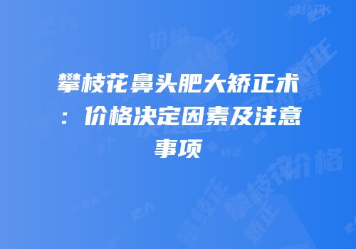 攀枝花鼻头肥大矫正术：价格决定因素及注意事项