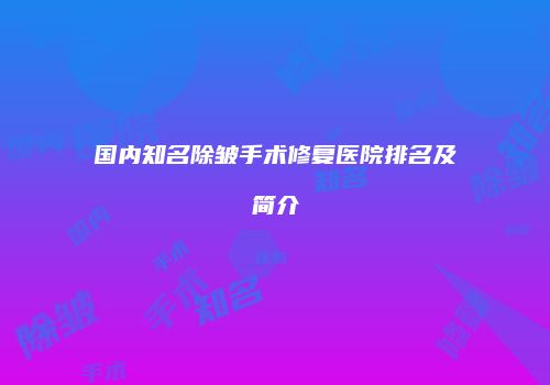 国内知名除皱手术修复医院排名及简介