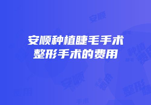 安顺种植睫毛手术整形手术的费用