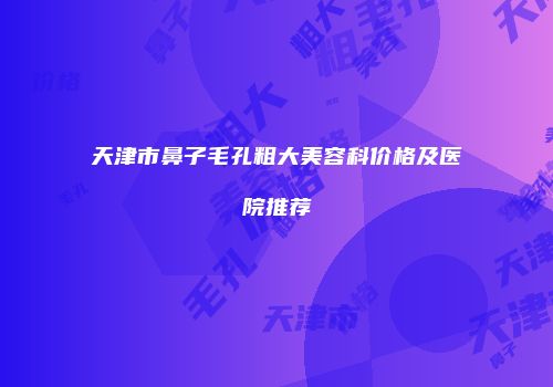 天津市鼻子毛孔粗大美容科价格及医院推荐