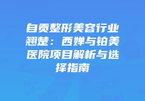 自贡整形美容行业翘楚：西婵与铂美医院项目解析与选择指南