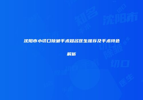 沈阳市小切口除皱手术知名医生推荐及手术特色解析