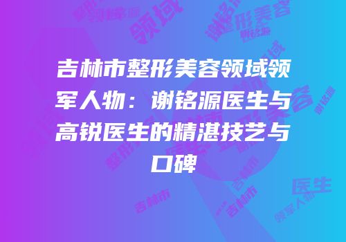 吉林市整形美容领域领军人物：谢铭源医生与高锐医生的精湛技艺与口碑
