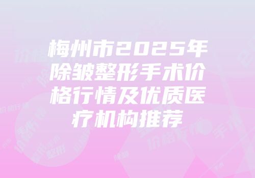 梅州市2025年除皱整形手术价格行情及优质医疗机构推荐