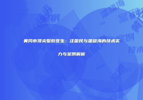 黄冈市顶尖整形医生：汪国民与潘晓海的技术实力与案例解析