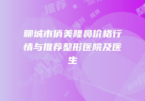 聊城市俏美隆鼻价格行情与推荐整形医院及医生