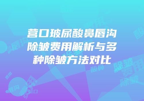 营口玻尿酸鼻唇沟除皱费用解析与多种除皱方法对比