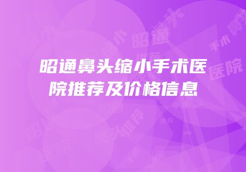 昭通鼻头缩小手术医院推荐及价格信息