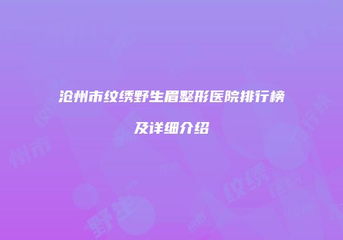 沧州市纹绣野生眉整形医院排行榜及详细介绍