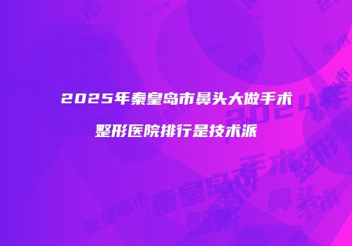 2025年秦皇岛市鼻头大做手术整形医院排行是技术派