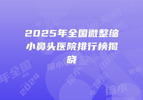 2025年全国微整缩小鼻头医院排行榜揭晓