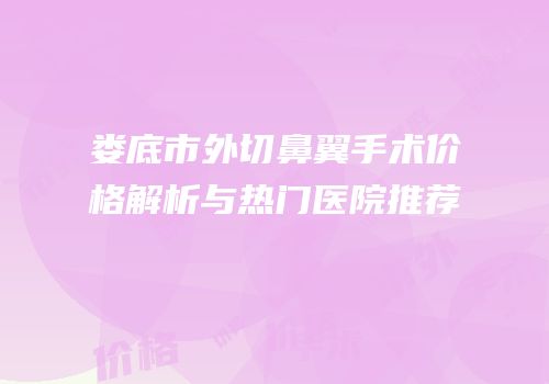 娄底市外切鼻翼手术价格解析与热门医院推荐
