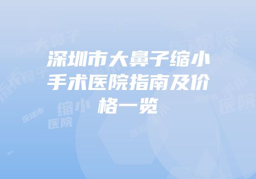 深圳市大鼻子缩小手术医院指南及价格一览