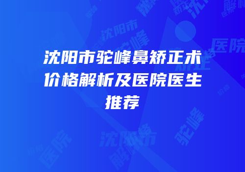 沈阳市驼峰鼻矫正术价格解析及医院医生推荐