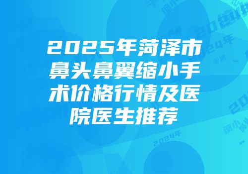 2025年菏泽市鼻头鼻翼缩小手术价格行情及医院医生推荐