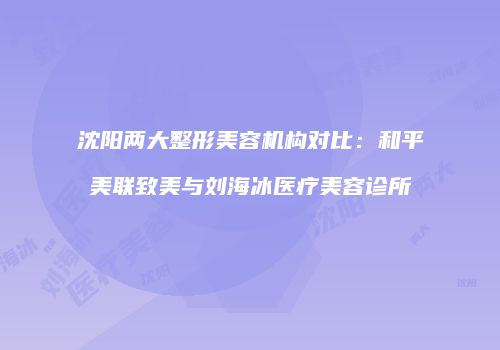 沈阳两大整形美容机构对比：和平美联致美与刘海冰医疗美容诊所