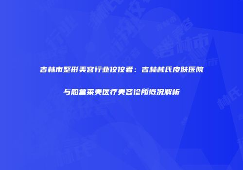 吉林市整形美容行业佼佼者：吉林林氏皮肤医院与船营莱美医疗美容诊所概况解析