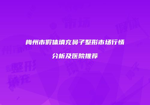 梅州市假体填充鼻子整形市场行情分析及医院推荐