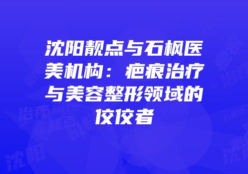 沈阳靓点与石枫医美机构：疤痕治疗与美容整形领域的佼佼者