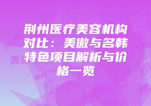 荆州医疗美容机构对比：美傲与名韩特色项目解析与价格一览