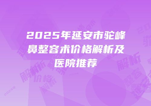 2025年延安市驼峰鼻整容术价格解析及医院推荐