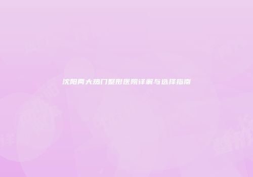 沈阳两大热门整形医院详解与选择指南