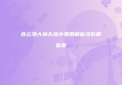 连云港大鼻头缩小费用解析及影响因素