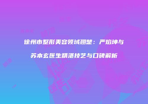 徐州市整形美容领域翘楚：严焰坤与苏本玄医生精湛技艺与口碑解析