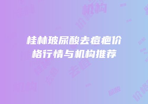 桂林玻尿酸去痘疤价格行情与机构推荐