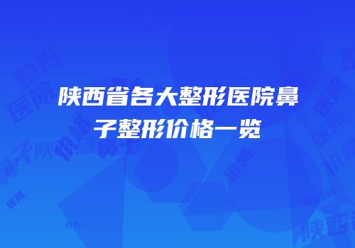 陕西省各大整形医院鼻子整形价格一览