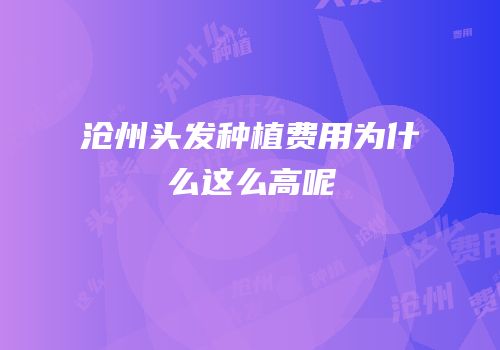 沧州头发种植费用为什么这么高呢