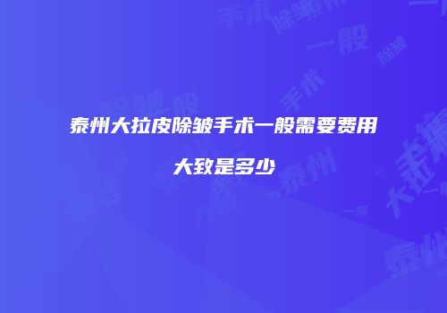 泰州大拉皮除皱手术一般需要费用大致是多少