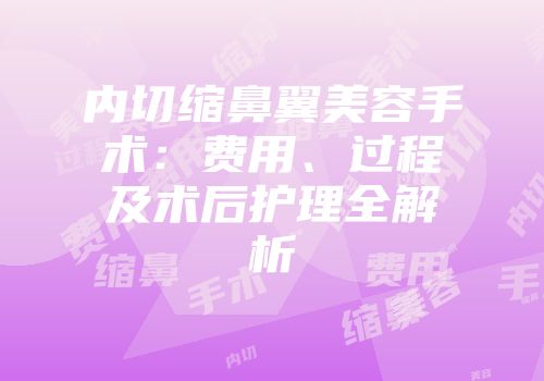 内切缩鼻翼美容手术：费用、过程及术后护理全解析