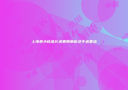上海鼻小柱延长术费用解析及手术要点