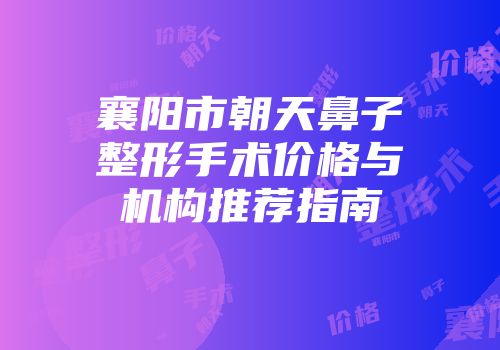 襄阳市朝天鼻子整形手术价格与机构推荐指南