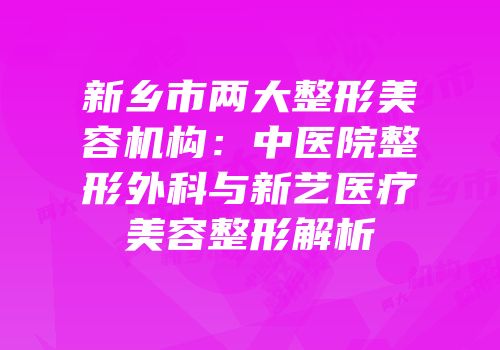 新乡市两大整形美容机构：中医院整形外科与新艺医疗美容整形解析