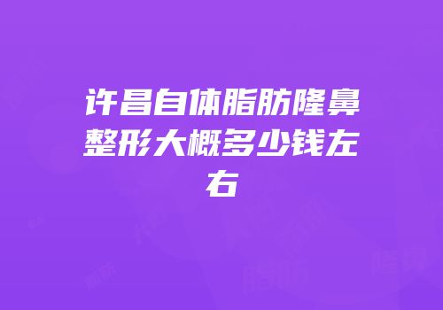 许昌自体脂肪隆鼻整形大概多少钱左右