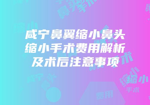 咸宁鼻翼缩小鼻头缩小手术费用解析及术后注意事项