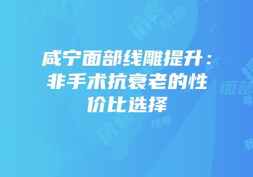 咸宁面部线雕提升：非手术抗衰老的性价比选择