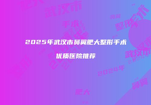2025年武汉市鼻翼肥大整形手术优质医院推荐
