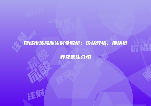 聊城市玻尿酸注射全解析：价格行情、医院推荐及医生介绍